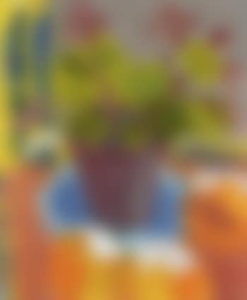Begonia in a pot (preview)