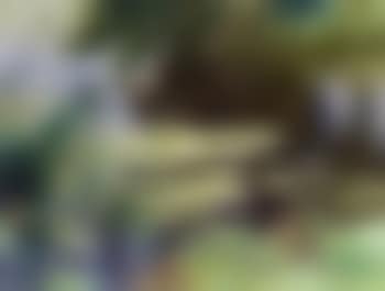 Duck and ducklings at water's edge (preview)