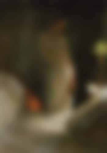 Interior scene with female nude (preview)