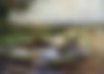 Lavoir in Bretagne (preview)