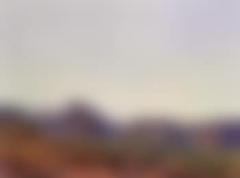 Palm Valley (preview)
