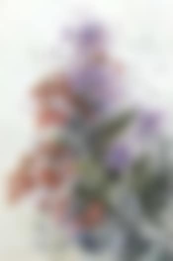 Flowers and berries (preview)