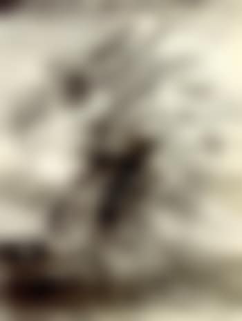 Untitled (preview)