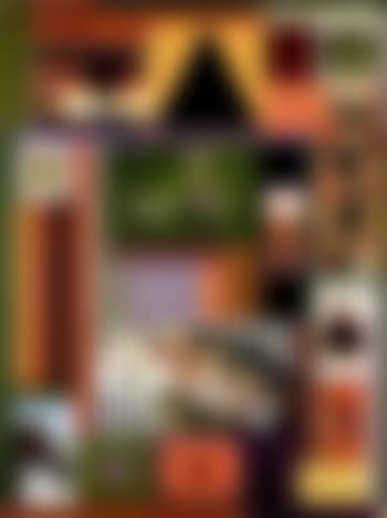 Chicken song (preview)