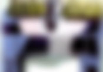 Poires sur la cheminee (preview)