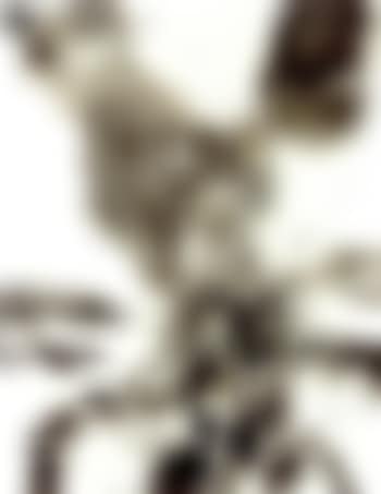 Untitled (preview)