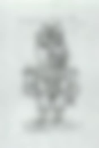 Donkey (preview)