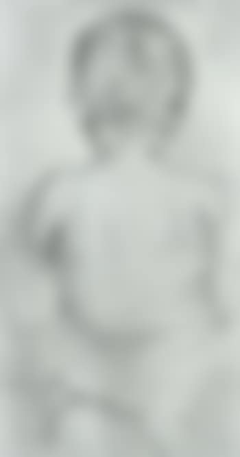 Back view of a seated child (preview)