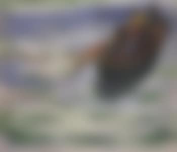 Fishing boats (preview)