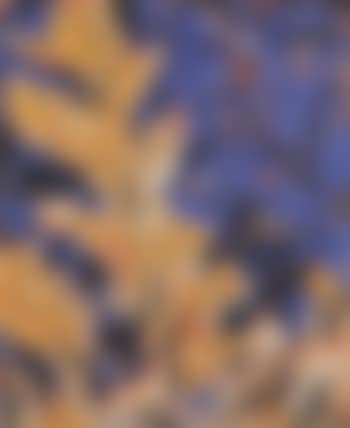 Tree (preview)