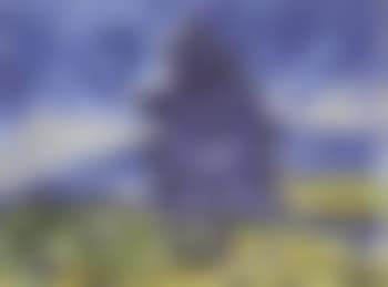 Blue pine tree (preview)