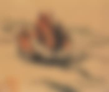 Chinese junk (preview)
