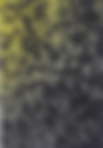 Abstract (preview)