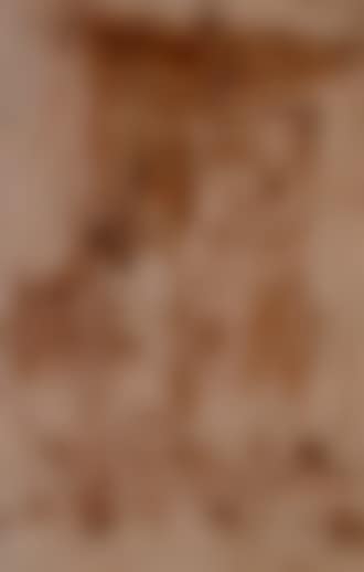 Figures in an architectural setting. Bird in flight (preview)