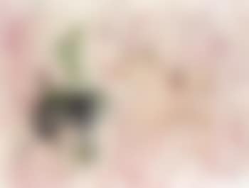 Expanding green insect (preview)