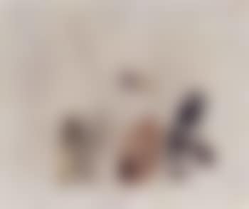 Untitled composition (preview)