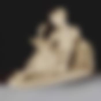 Leda and the swan (preview)