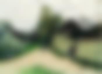 Carriole sur un chemin dans un village (preview)