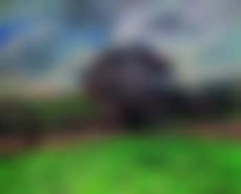 Champs vallonnes (preview)