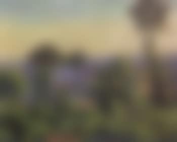 Paysage boise (preview)