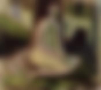 Nude woman seated by tree in forest (preview)