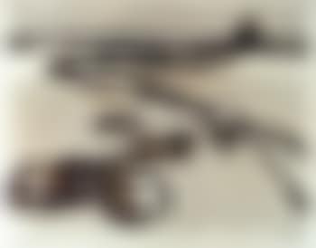 Cows resting (preview)
