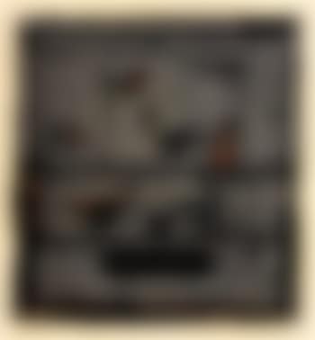 Birdcage (preview)