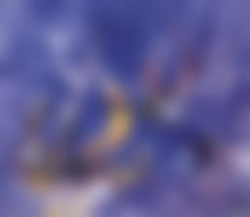 Convolviente (preview)