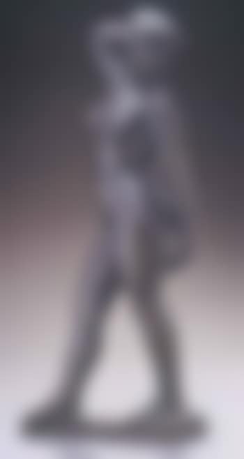 Coude leve (preview)