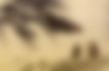 Sages beneath a pine tree (preview)