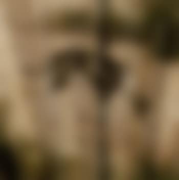 Dog. Horse - in the style of Castiglione (preview)