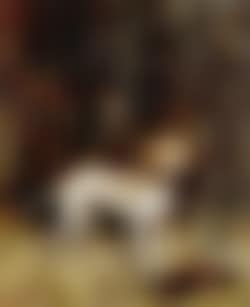 Dog with dead pheasant (preview)