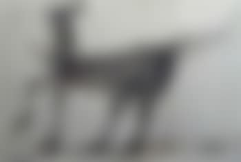 Centaure (preview)