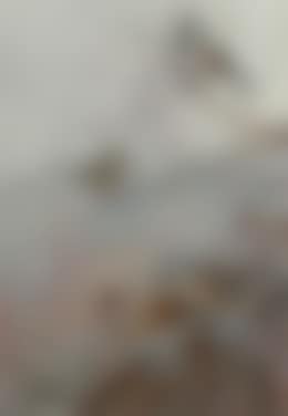 Crested Tits and a Firecrest (preview)
