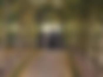 Waiting for the visitors (preview)