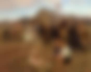 The town's musicians (preview)