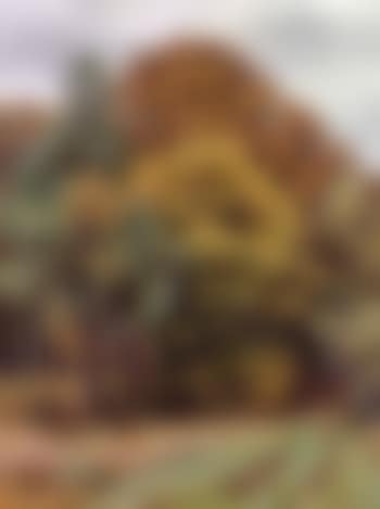 Deer on the outskirts of wood (preview)
