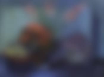 Still life of flowers (preview)