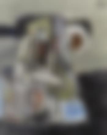 Untitled (preview)