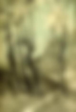 Path (preview)