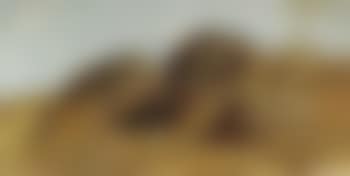 Study of a hilly landscape (preview)