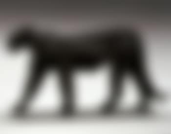 Puma (preview)