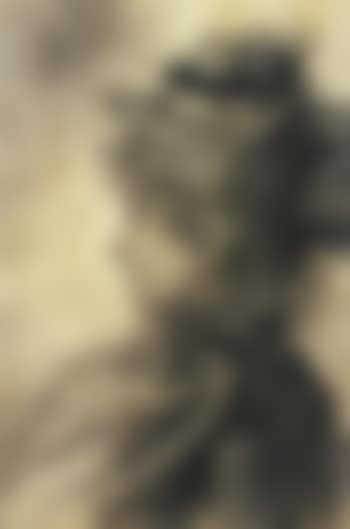 Portrait of a girl in profile, wearing a straw hat (preview)