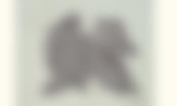 Untitled (preview)