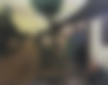 Village scene with young woman (preview)