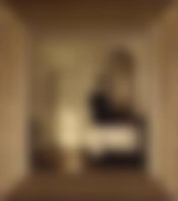 Interior scene with woman by mirror (preview)