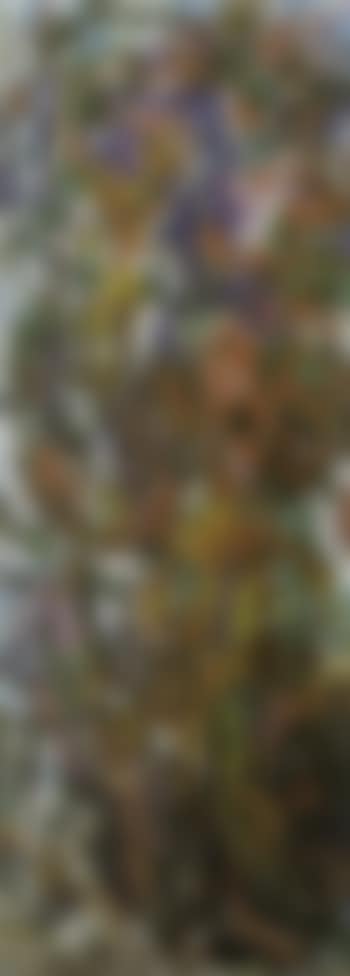 Composition (preview)