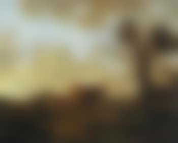 Herdsman with cows in lower mountain landscape (preview)