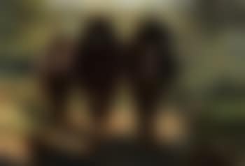 Peasant with horses (preview)