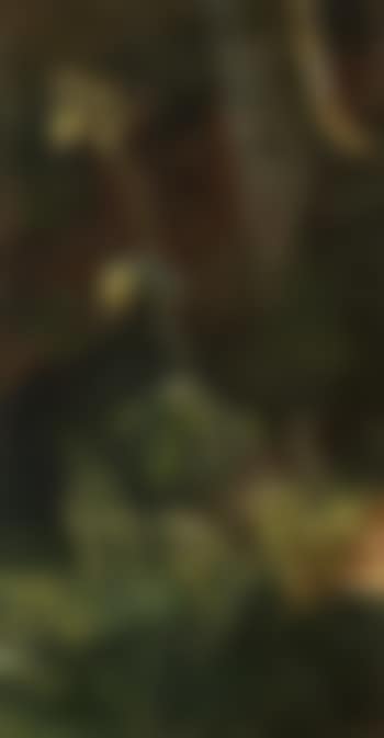 Thistle (preview)